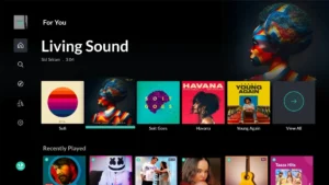 JioSaavn-Music-Radio 10