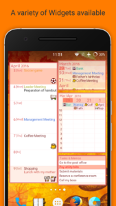 Jorte-Calendar-Organizer 2