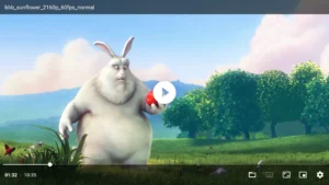 Just-Video-Player 5