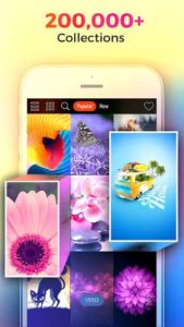 Kappboom-Cool-Wallpapers-Background-Wallpapers 1