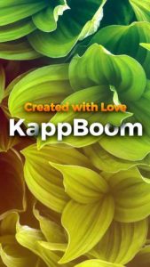 Kappboom-Cool-Wallpapers-Background-Wallpapers 5