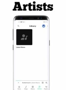 LM-Music-Pro 2