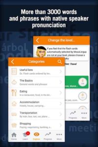 Learn-French-with-MosaLingua 2