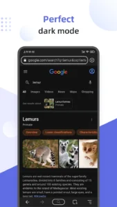 Lemur-Browser 6
