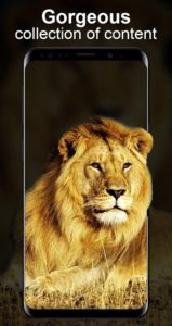 Live-Wallpapers-Unlimited 3