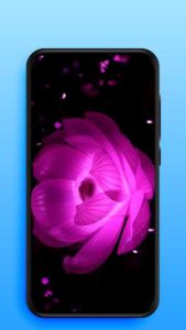 Live-Wallpapers-Video-Wallpapers 2