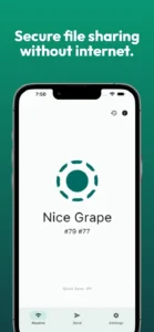 LocalSend-Transfer-Files 1