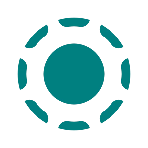 LocalSend: Transfer Files logo