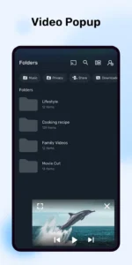 MX-Player-Beta 5