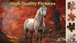 Magic-Jigsaw-Puzzles 2