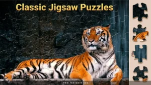Magic-Jigsaw-Puzzles 4