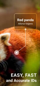 Mammal-Identifier-Animal-Snap 2