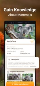 Mammal-Identifier-Animal-Snap 3