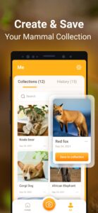 Mammal-Identifier-Animal-Snap 5