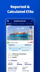 MarineTraffic-ship-positions 5