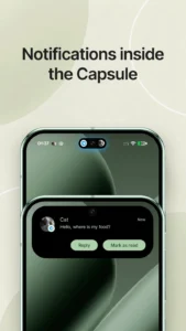 Material-Capsule 6