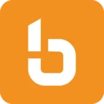 bam logo