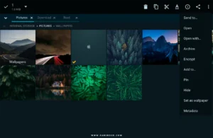MiXplorer 10