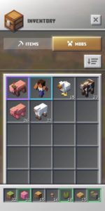 Minecraft-Earth 3