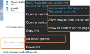 MiniBrowser-Pro 4