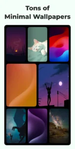 Minimalist-Launcher 6