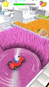 Mow-My-Lawn-Cutting-Grass 4