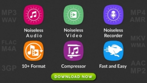 Audio-Video-Noise-Reducer 1