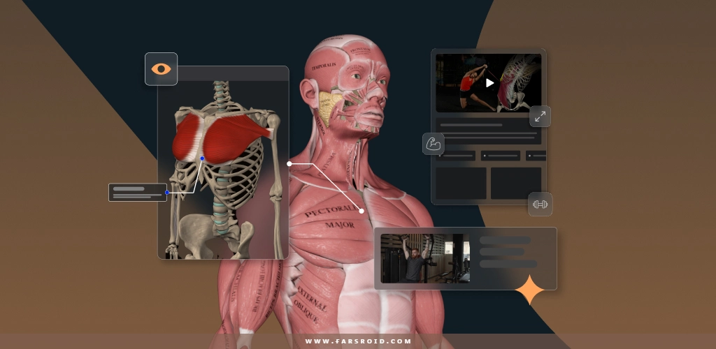 Muscle & Motion: Strength Muscle & Motion: Strength