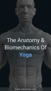 Muscle-Motion-Yoga 1