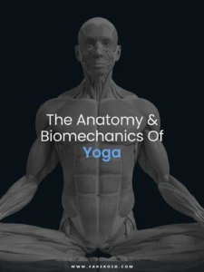 Muscle-Motion-Yoga 9