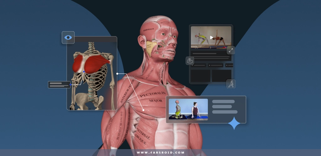 Muscle & Motion: Yoga Muscle & Motion: Yoga