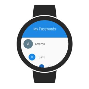 My-Passwords-Manager 12