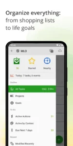 MyLifeOrganized 7