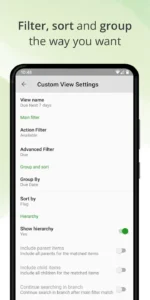 MyLifeOrganized 1