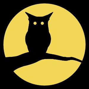 Night screen logo