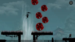Ninja-Arashi-2-Shadows-Return 5
