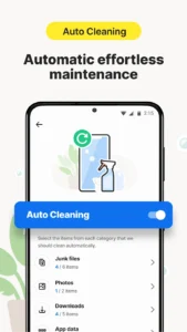 Norton-Cleaner 3