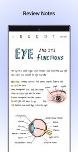 Noteshelf 1
