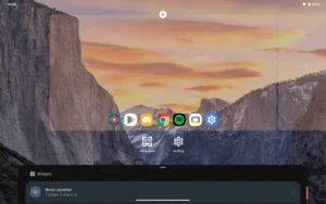 Nova-Launcher-Prime 10