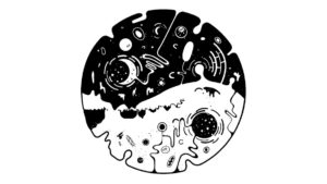 OVIVO 2