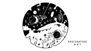 OVIVO 5