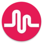 Offline Music Player & Radio logo