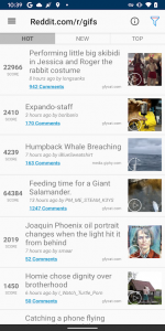 OmniGif-Pro 3