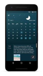One-Diary-Premium 2