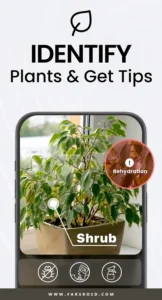 TapScanner 20