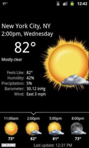 Palmary-Weather 8