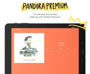 Pandora-Internet-Radio 12