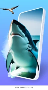 Parallax-3D-Live-Wallpapers 5