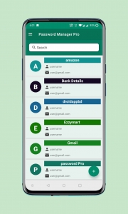 Password-Manager-Pro 2