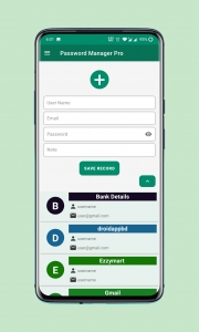 Password-Manager-Pro 3